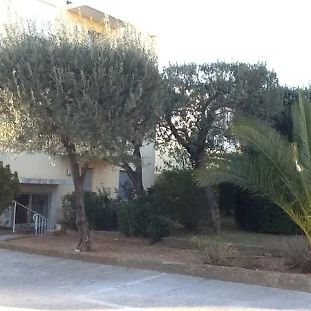 Apartment T3 Refait A Neuf *